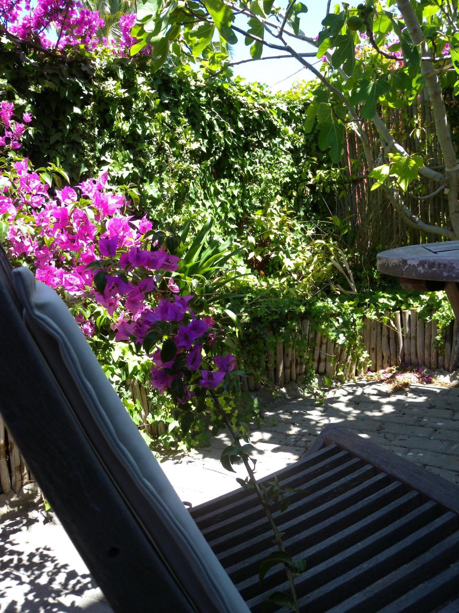 Capetown 4U Guesthouse Bloubergstrand Kültér fotó
